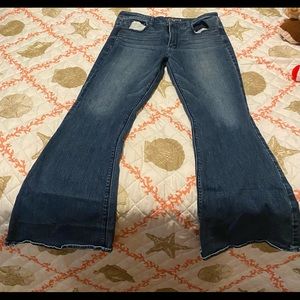 American Eagle hi rise artist size 14 Regular